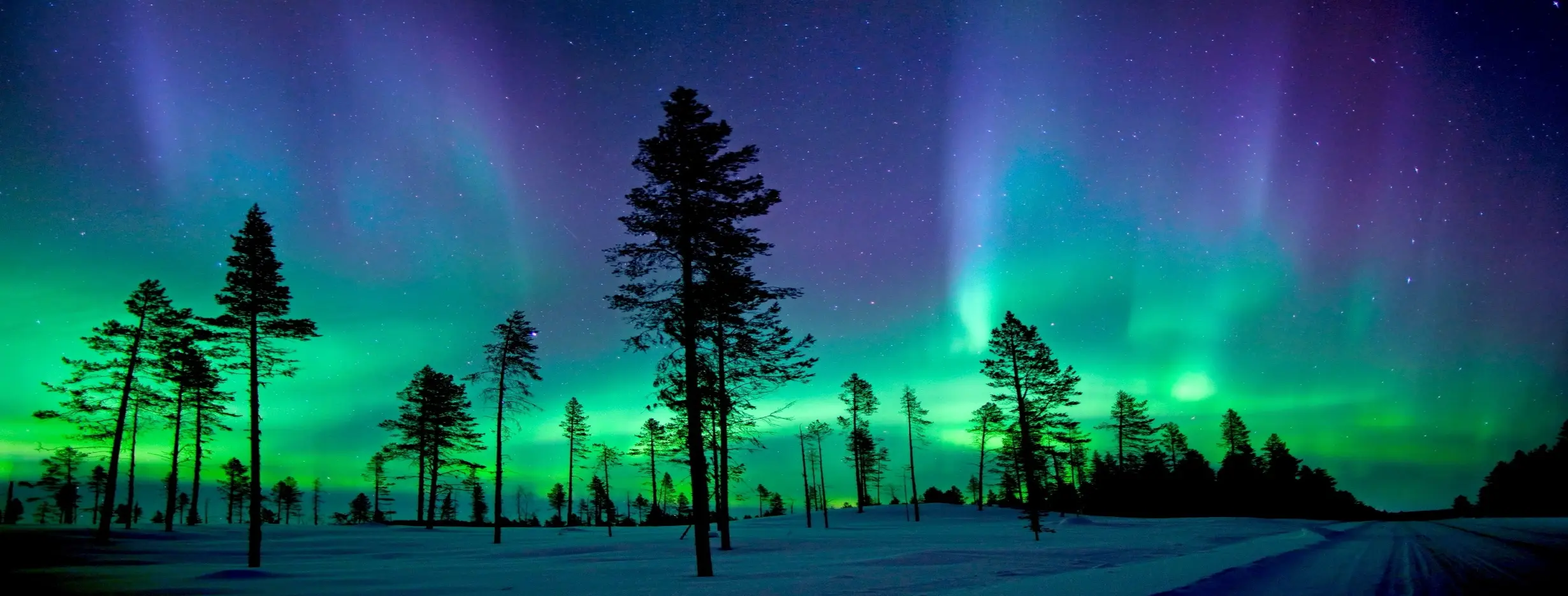 Image for Northern Lights